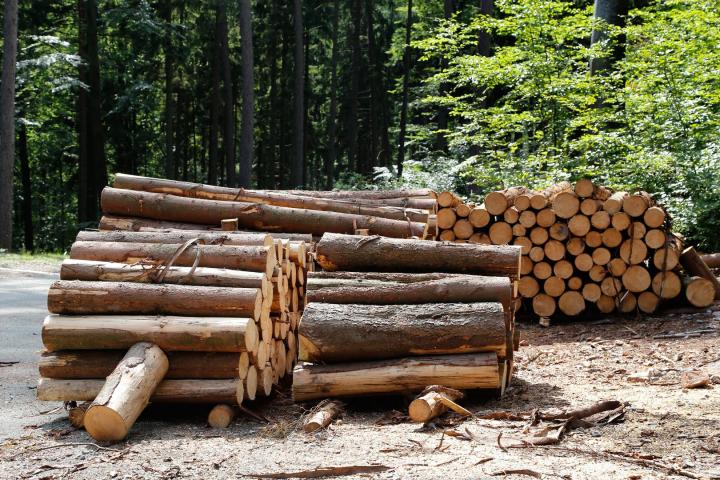 Vente de bois de sciage Québec